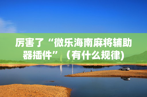 厉害了“微乐海南麻将辅助器插件”（有什么规律)