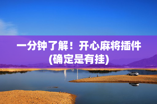 一分钟了解！开心麻将插件(确定是有挂)