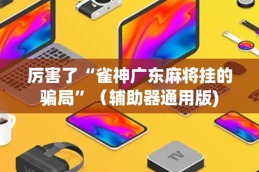 厉害了“雀神广东麻将挂的骗局”（辅助器通用版)