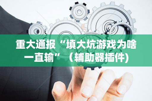 重大通报“填大坑游戏为啥一直输”（辅助器插件)