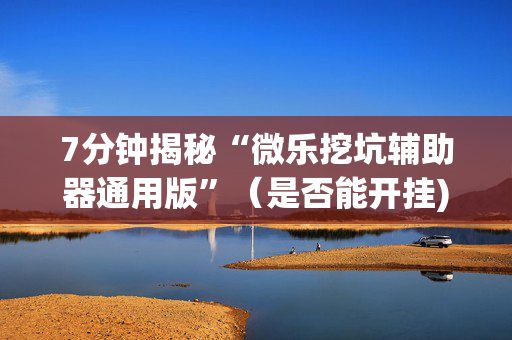 7分钟揭秘“微乐挖坑辅助器通用版”（是否能开挂)