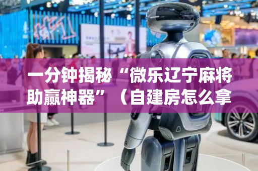 一分钟揭秘“微乐辽宁麻将助赢神器”（自建房怎么拿好牌)