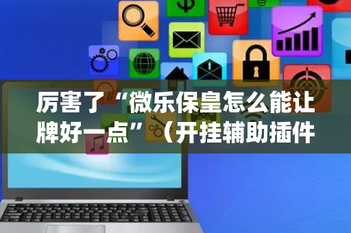 厉害了“微乐保皇怎么能让牌好一点”（开挂辅助插件)