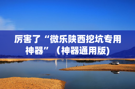 厉害了“微乐陕西挖坑专用神器”（神器通用版)