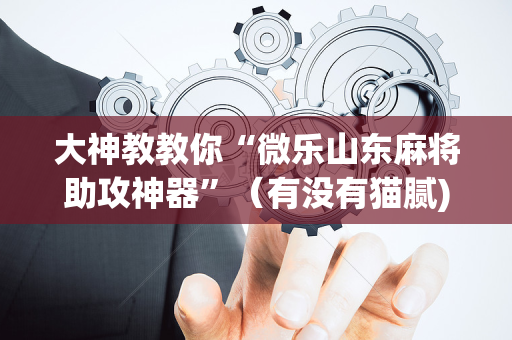 大神教教你“微乐山东麻将助攻神器”（有没有猫腻)