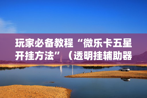 玩家必备教程“微乐卡五星开挂方法”（透明挂辅助器)