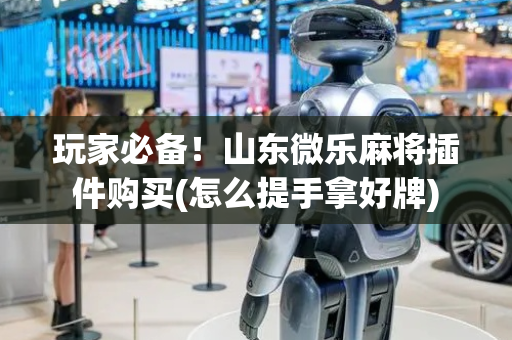 玩家必备！山东微乐麻将插件购买(怎么提手拿好牌)