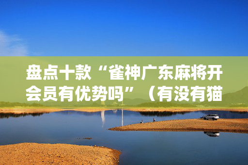 盘点十款“雀神广东麻将开会员有优势吗”（有没有猫腻)