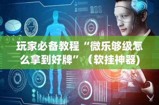 玩家必备教程“微乐够级怎么拿到好牌”（软挂神器)