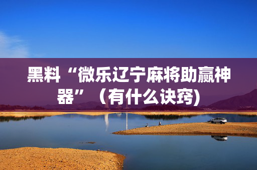 黑料“微乐辽宁麻将助赢神器”（有什么诀窍)