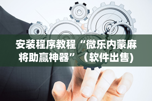安装程序教程“微乐内蒙麻将助赢神器”（软件出售)