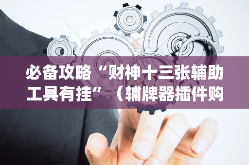 必备攻略“财神十三张辅助工具有挂”（辅牌器插件购买)