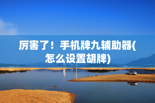 厉害了！手机牌九辅助器(怎么设置胡牌)