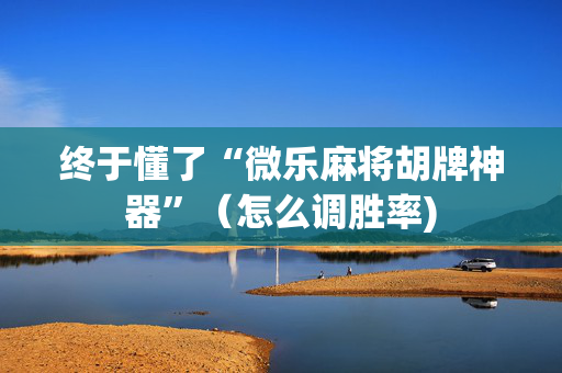 终于懂了“微乐麻将胡牌神器”（怎么调胜率)