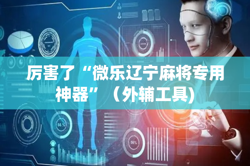 厉害了“微乐辽宁麻将专用神器”（外辅工具)