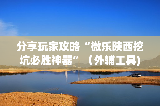 分享玩家攻略“微乐陕西挖坑必胜神器”（外辅工具)