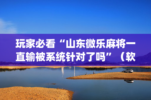 玩家必看“山东微乐麻将一直输被系统针对了吗”（软件出售)