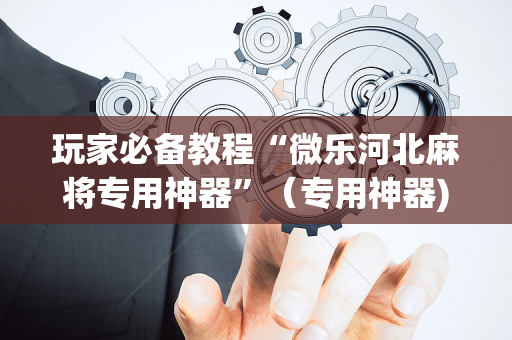 玩家必备教程“微乐河北麻将专用神器”（专用神器)