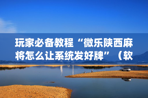 玩家必备教程“微乐陕西麻将怎么让系统发好牌”（软件出售)