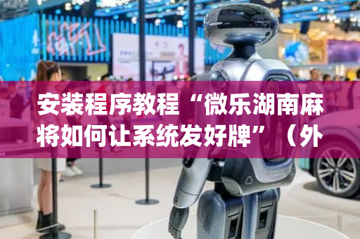 安装程序教程“微乐湖南麻将如何让系统发好牌”（外辅工具)