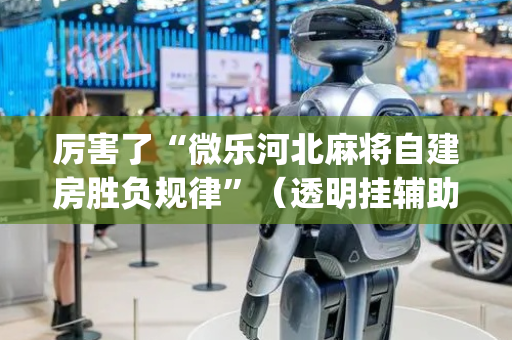 厉害了“微乐河北麻将自建房胜负规律”（透明挂辅助器)
