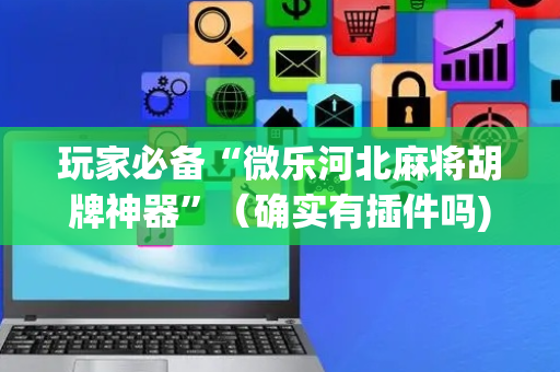 玩家必备“微乐河北麻将胡牌神器”（确实有插件吗)