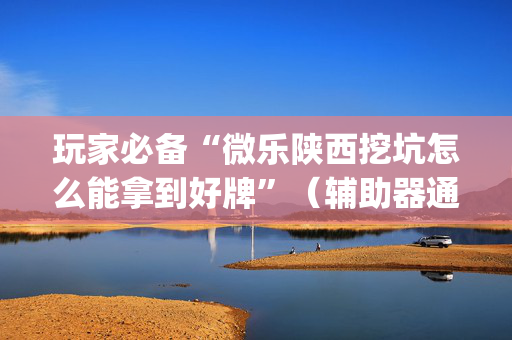 玩家必备“微乐陕西挖坑怎么能拿到好牌”（辅助器通用版)