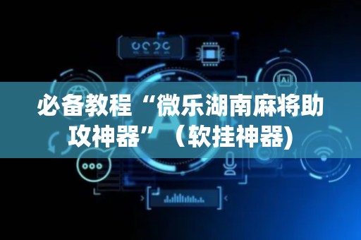 必备教程“微乐湖南麻将助攻神器”（软挂神器)