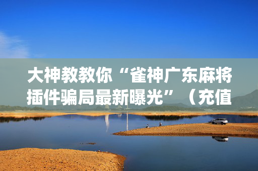 大神教教你“雀神广东麻将插件骗局最新曝光”（充值会提高胜率么)