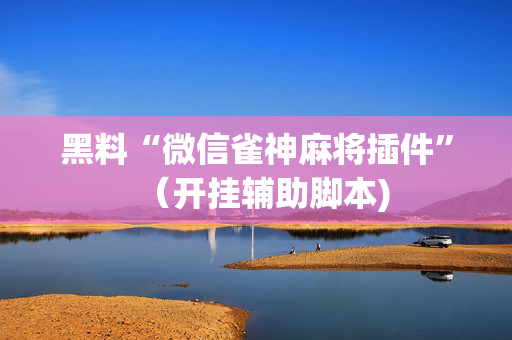 黑料“微信雀神麻将插件”（开挂辅助脚本)