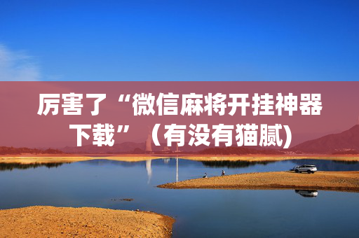 厉害了“微信麻将开挂神器下载”（有没有猫腻)