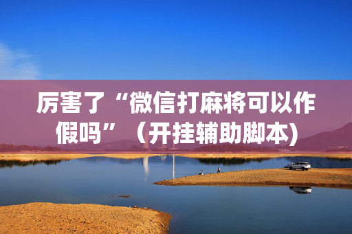 厉害了“微信打麻将可以作假吗”（开挂辅助脚本)