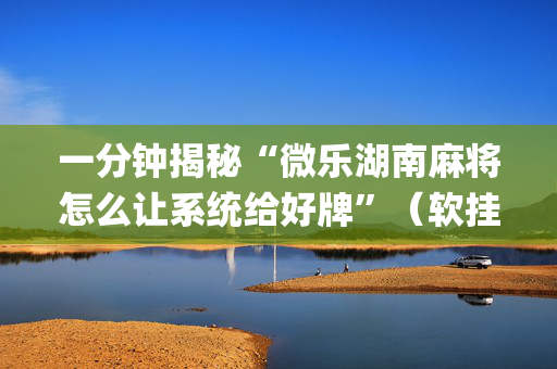 一分钟揭秘“微乐湖南麻将怎么让系统给好牌”（软挂神器)