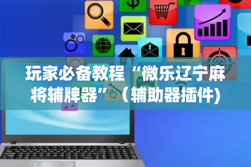 玩家必备教程“微乐辽宁麻将辅牌器”（辅助器插件)