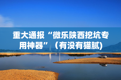 重大通报“微乐陕西挖坑专用神器”（有没有猫腻)
