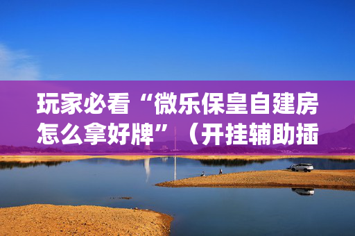 玩家必看“微乐保皇自建房怎么拿好牌”（开挂辅助插件)