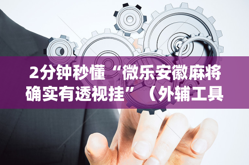 2分钟秒懂“微乐安徽麻将确实有透视挂”（外辅工具)