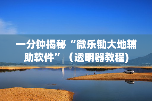 一分钟揭秘“微乐锄大地辅助软件”（透明器教程)