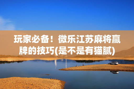 玩家必备！微乐江苏麻将赢牌的技巧(是不是有猫腻)