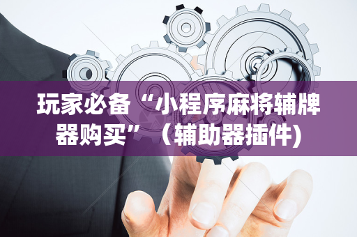 玩家必备“小程序麻将辅牌器购买”（辅助器插件)
