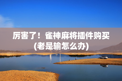 厉害了！雀神麻将插件购买(老是输怎么办)
