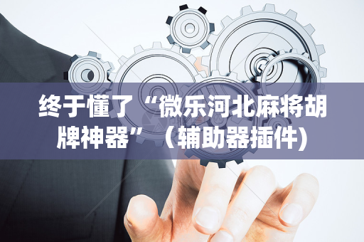 终于懂了“微乐河北麻将胡牌神器”（辅助器插件)