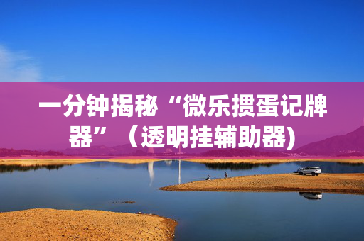 一分钟揭秘“微乐掼蛋记牌器”（透明挂辅助器)