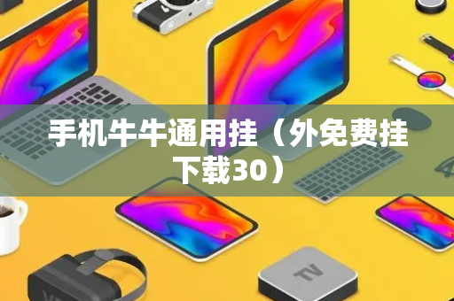 手机牛牛通用挂（外免费挂下载30）
