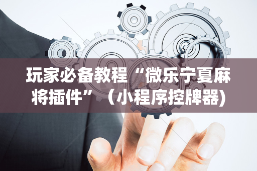 玩家必备教程“微乐宁夏麻将插件”（小程序控牌器)