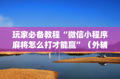 玩家必备教程“微信小程序麻将怎么打才能赢”（外辅工具)