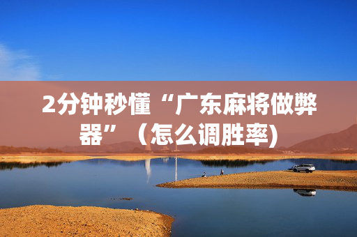 2分钟秒懂“广东麻将做弊器”（怎么调胜率)