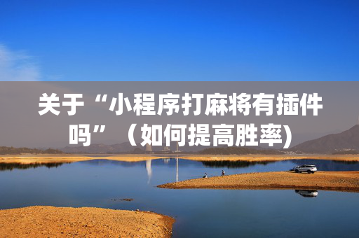 关于“小程序打麻将有插件吗”（如何提高胜率)