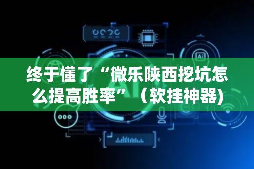 终于懂了“微乐陕西挖坑怎么提高胜率”（软挂神器)