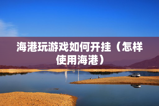 海港玩游戏如何开挂（怎样使用海港）